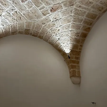 Dimora 36 Appartement